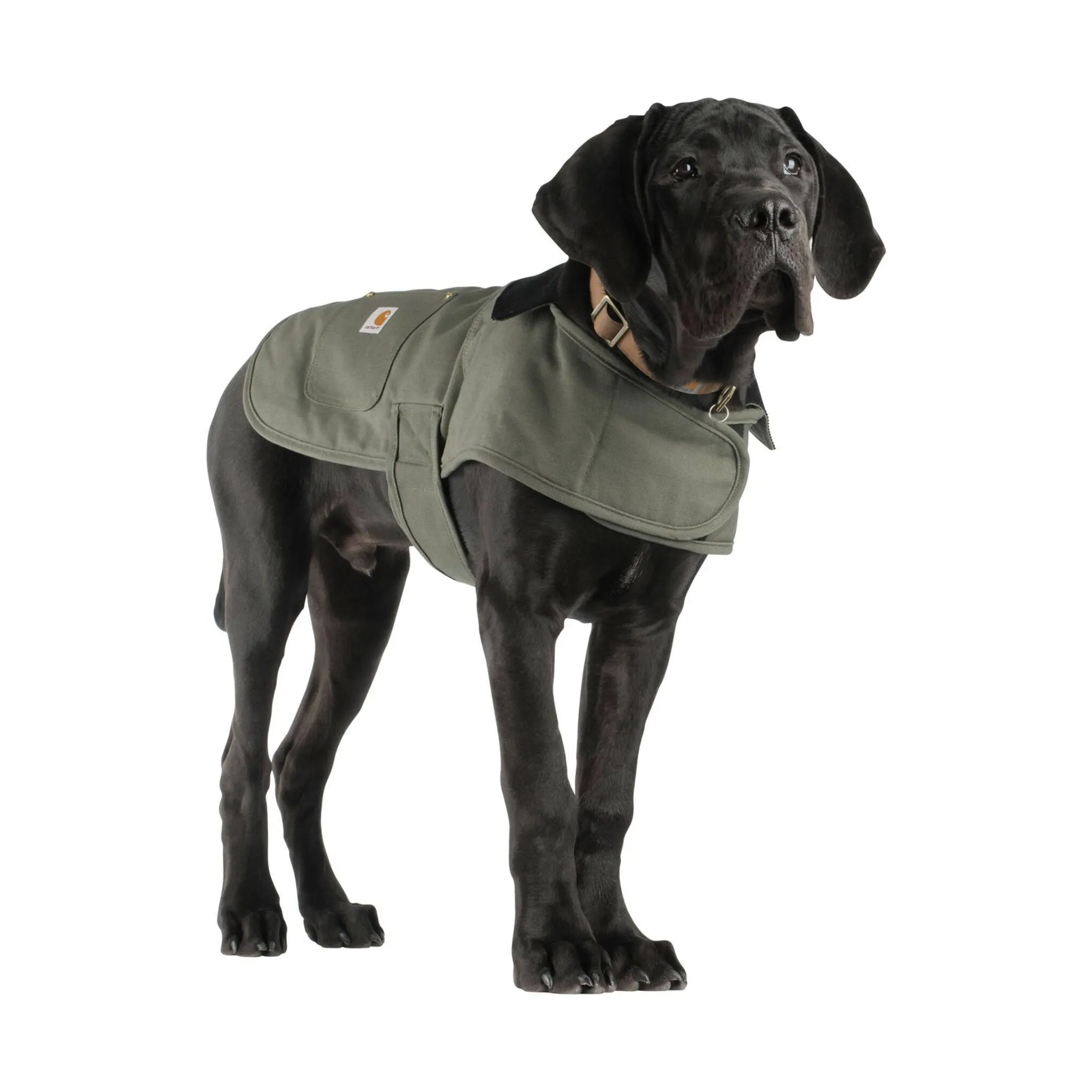 Carhartt Firm Duck Insulated Dog Chore Coat - Army Green