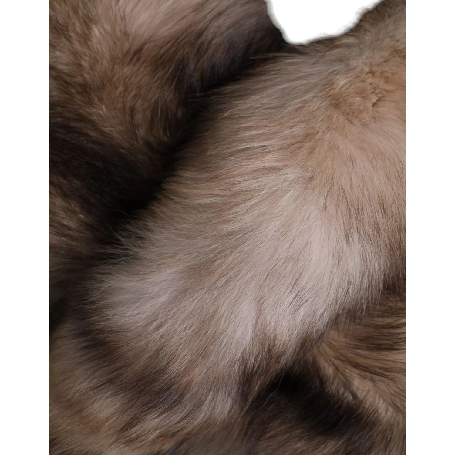 Dolce & Gabbana Brown Frost Fox Fur Neck Warmer Winter Scarf