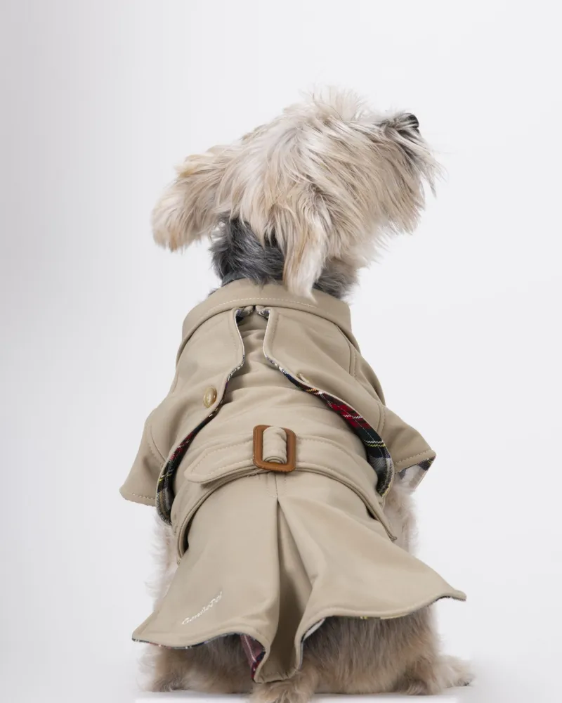 Frankie Dog Trench Coat (Made in Spain) (FINAL SALE)