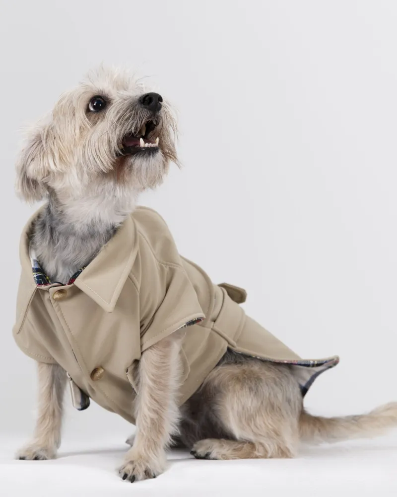 Frankie Dog Trench Coat (Made in Spain) (FINAL SALE)