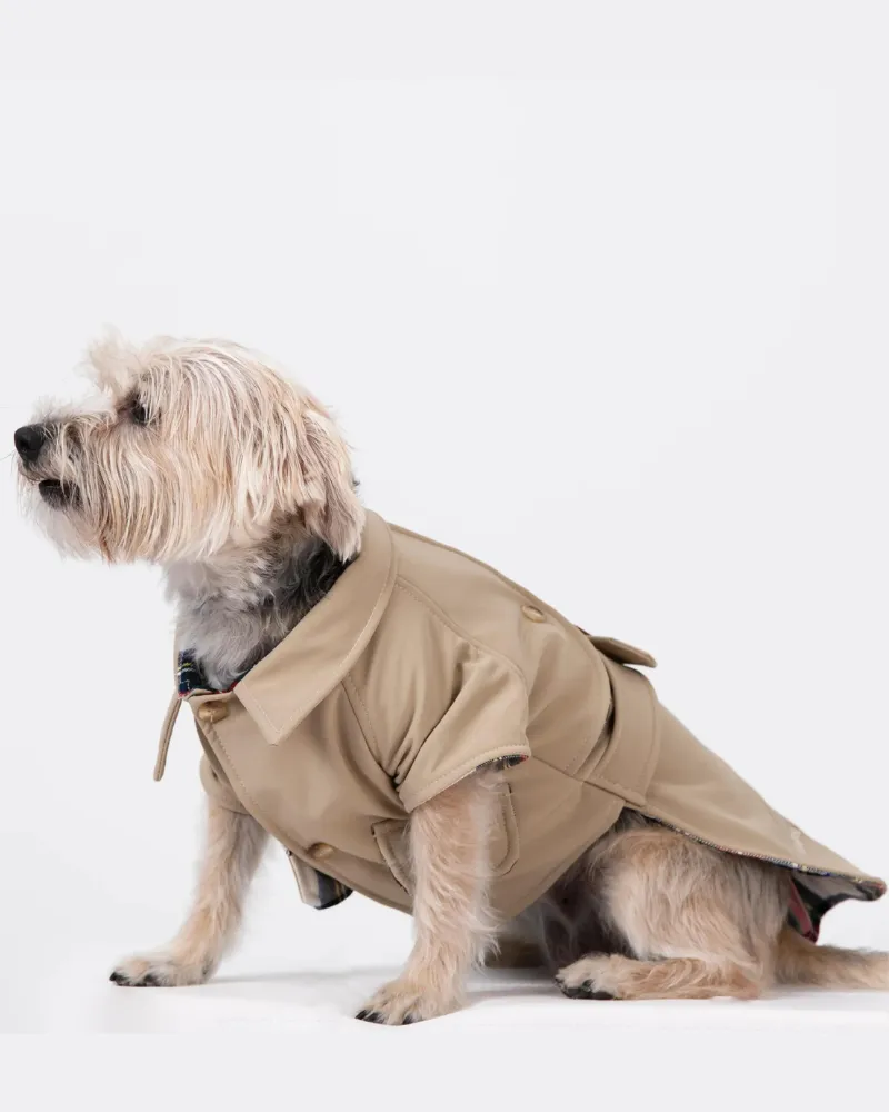 Frankie Dog Trench Coat (Made in Spain) (FINAL SALE)