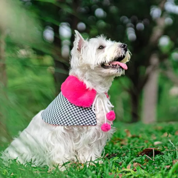 Fuscia Pink Faux Fur Collar Trench Coat in Houndstooth