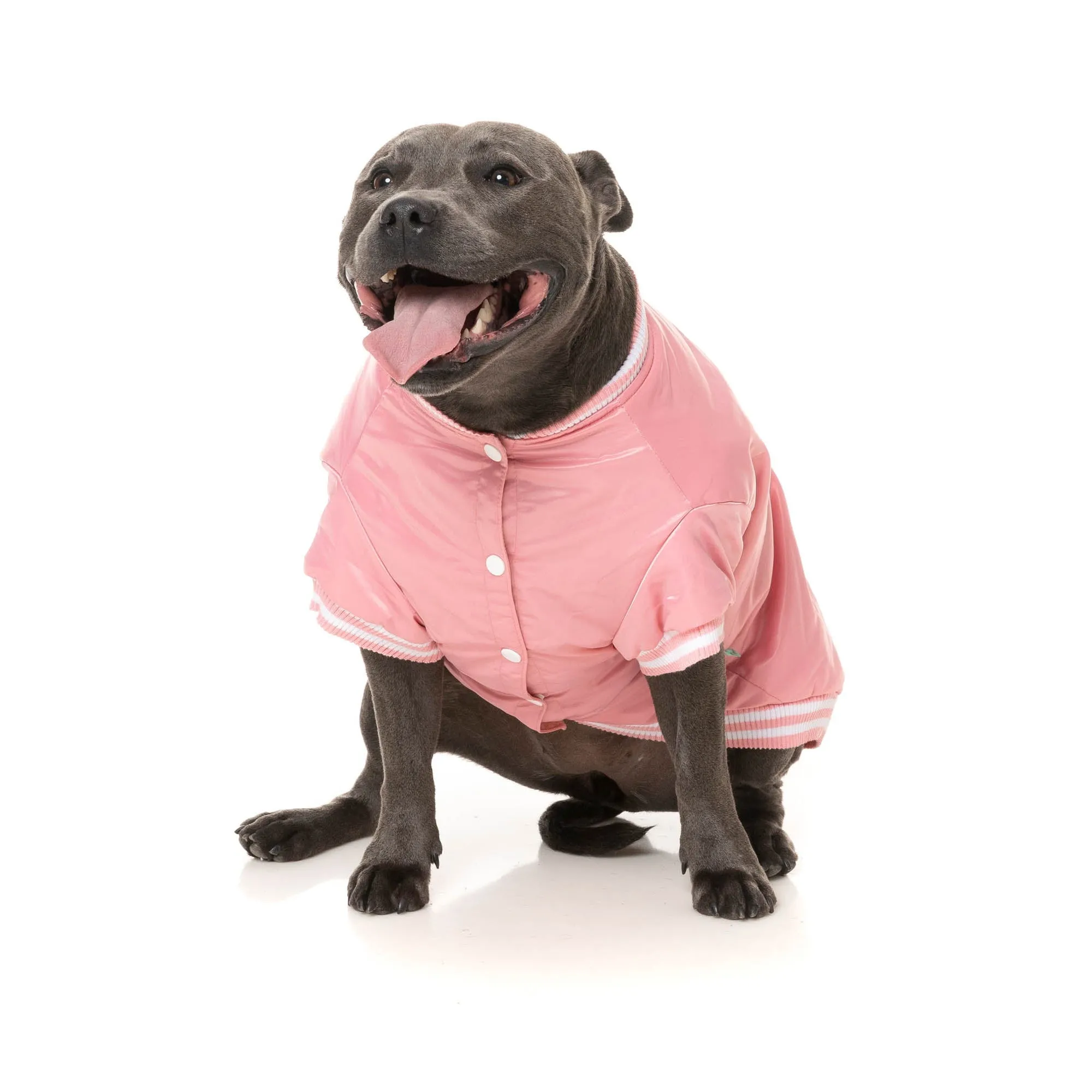 FuzzYard Dog Apparel Fastball Jacket Pink Size 4 Medium***